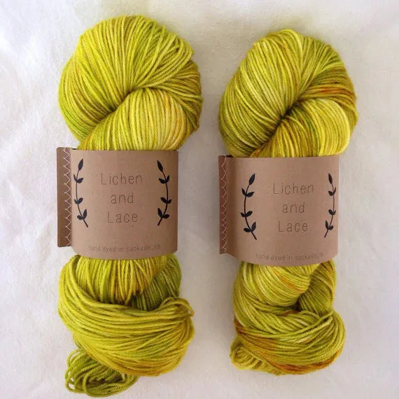 Lichen and Lace - 80/20 Sock